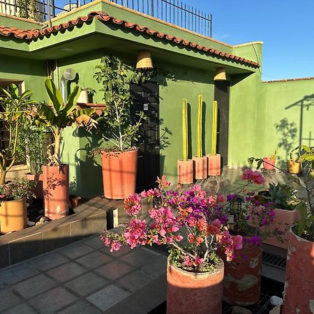 Hostal Nordes Oaxaca المظهر الخارجي الصورة