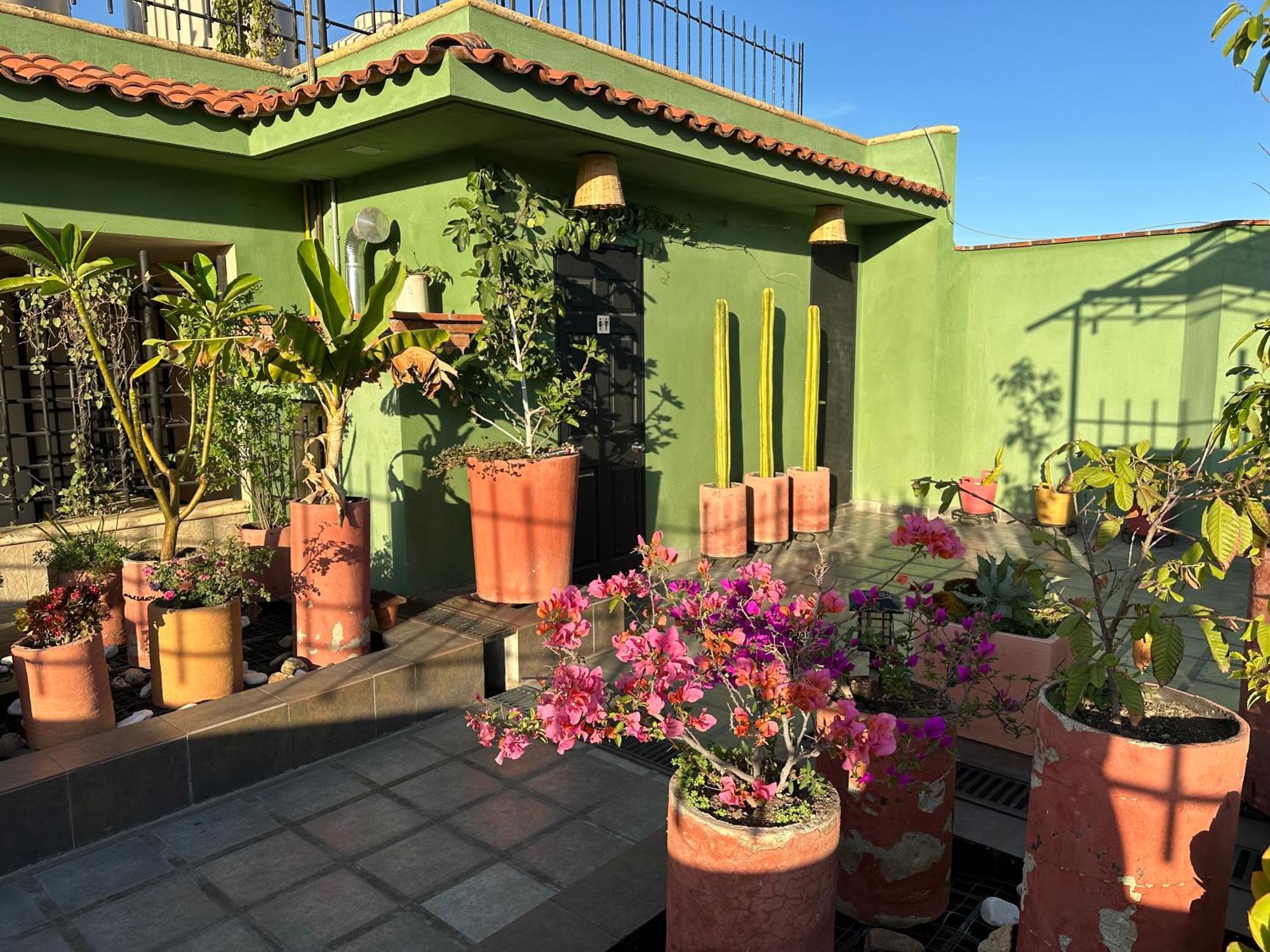 Hostal Nordes Oaxaca المظهر الخارجي الصورة